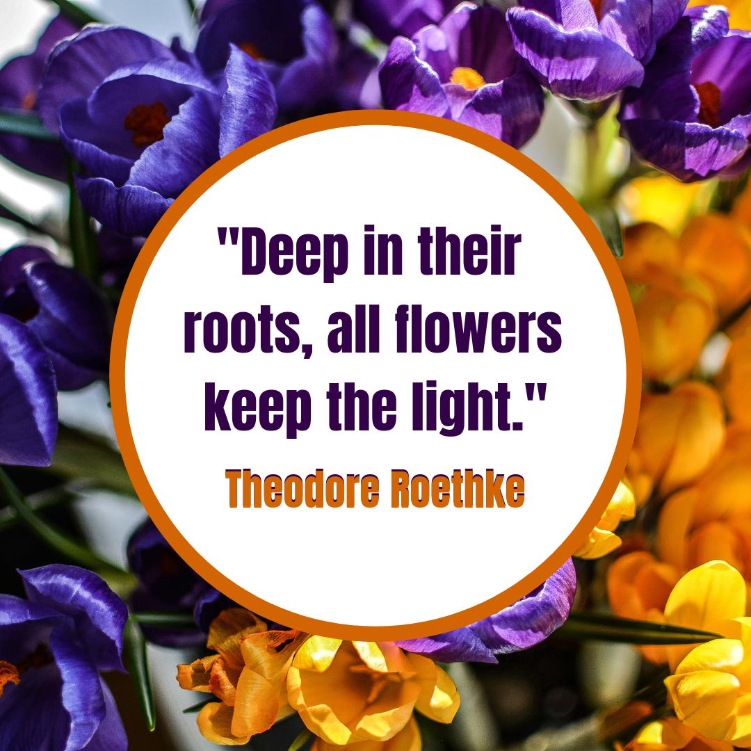 simiconroys's tweet image. Shake off the embrace of the winter months. Spring into the new season with a bright arrangement. Shop our spring flowers: simiflowersandgifts.com