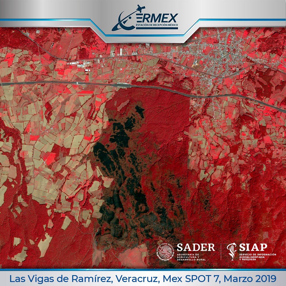 DGSIAP_Mx's tweet photo. #ConoceAlSIAP | Vista satelital de Las Vigas de Ramírez, en el estado de #Veracruz. En la imagen se muestra un compuesto en falso color, donde se resalta en color negro el área afectada por un incendio forestal en la zona.
📸 #Spot7 #ERMEX 🛰
#FelizViernes https://t.co/us1EmIUvsg
