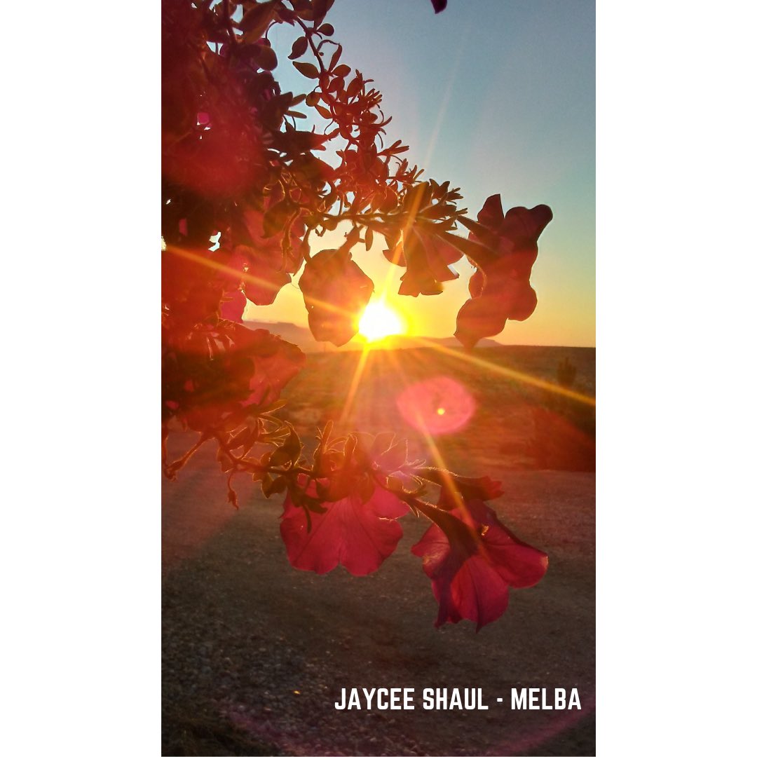 Idaho FFA tweet media