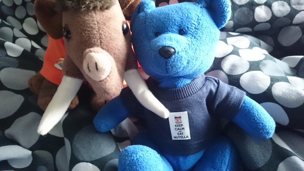 RedditchMammoth's tweet photo. Blueberry Bear loves her new 'Keep Calm and Eat Nutella' t-shirt. Thanks @TourGuideTed! #stuffiestuff https://t.co/Dcj0oVRd9g