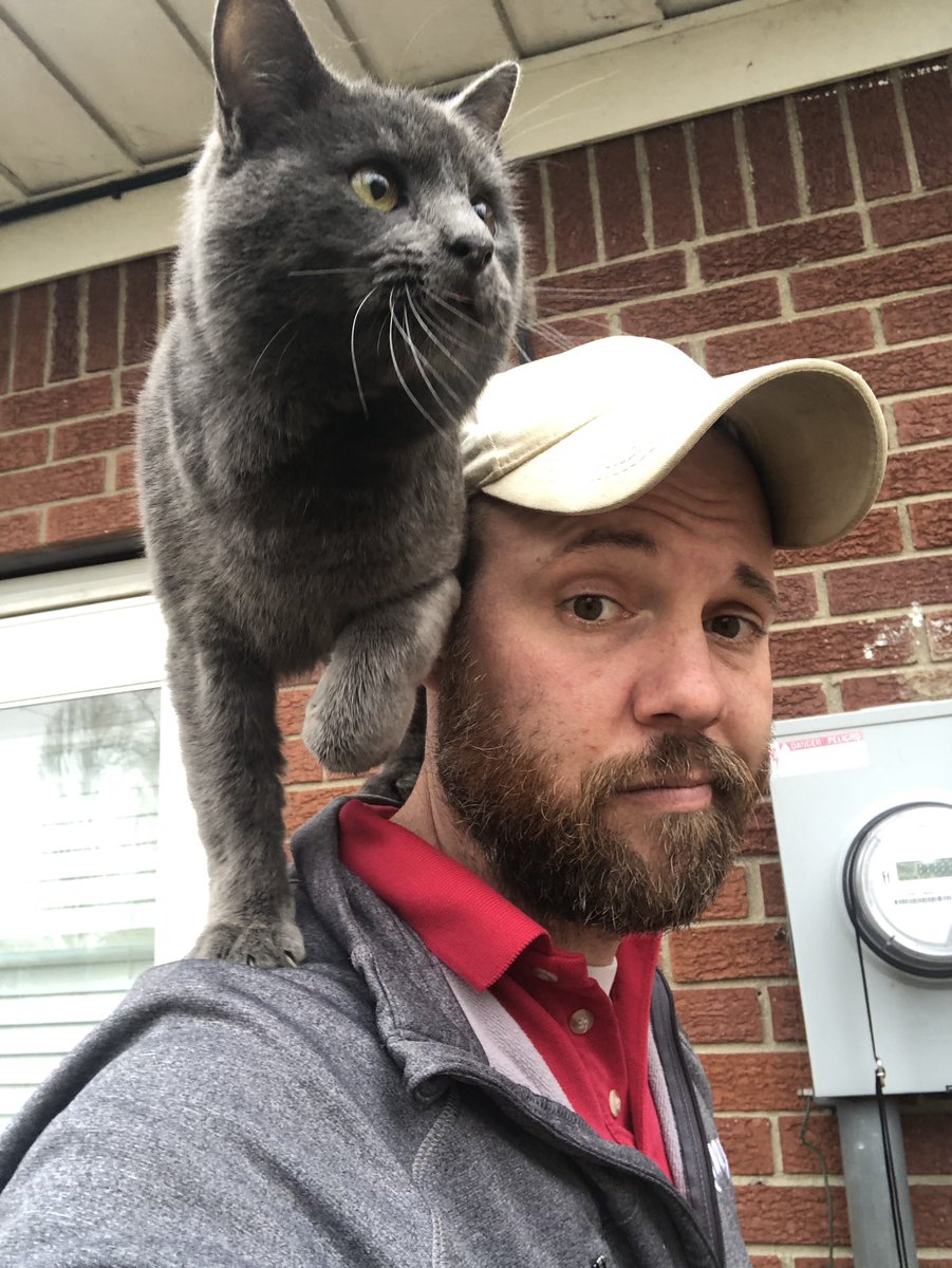 PhilErnstes1's tweet photo. So I made a friend today.
#cablecat #kittypurry https://t.co/Y1hw60zne8