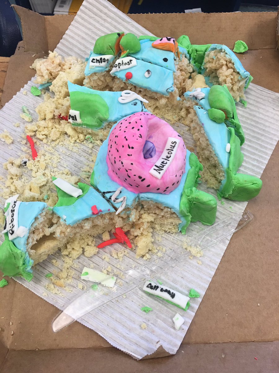 Jessiusf's tweet photo. Edible cells-Weightman Science is exCELLent! @TEWMSPrincipal #WildCatsMakingADifference https://t.co/r9d6dffYSp
