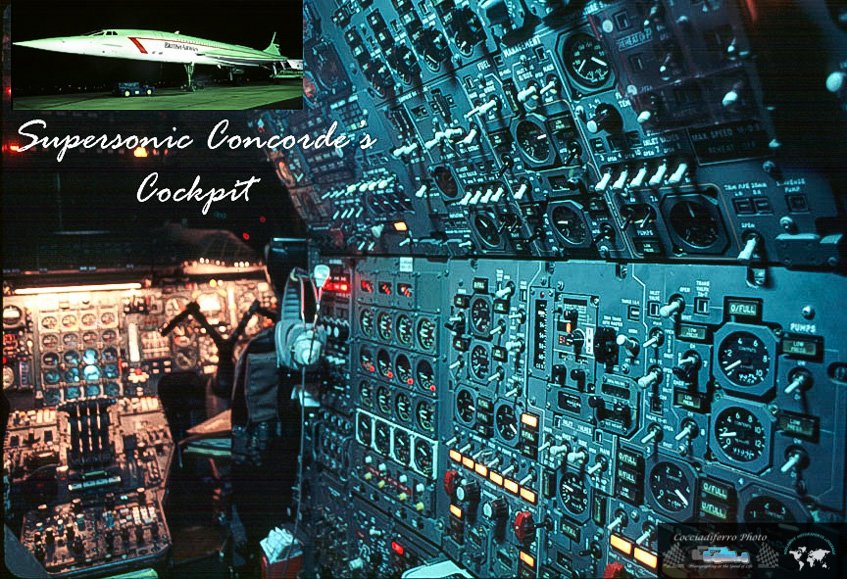 Cocciadiferro Photo tweet media