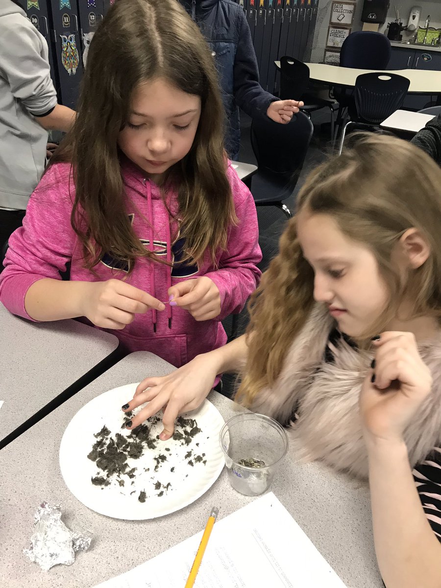 BISSMcBeath's tweet photo. Day 1 Dissecting Owl Pellets... https://t.co/zF4nJUBb9e