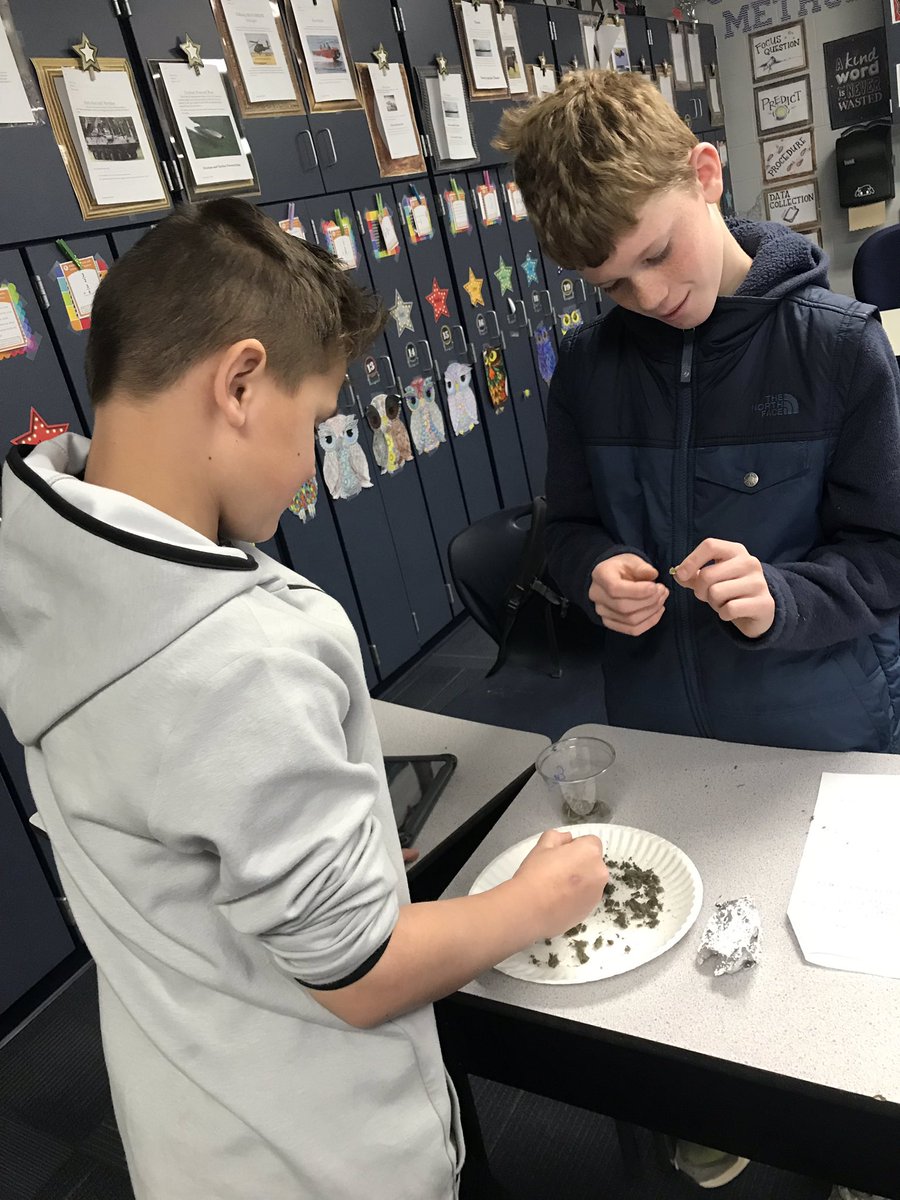 BISSMcBeath's tweet photo. Day 1 Dissecting Owl Pellets... https://t.co/zF4nJUBb9e