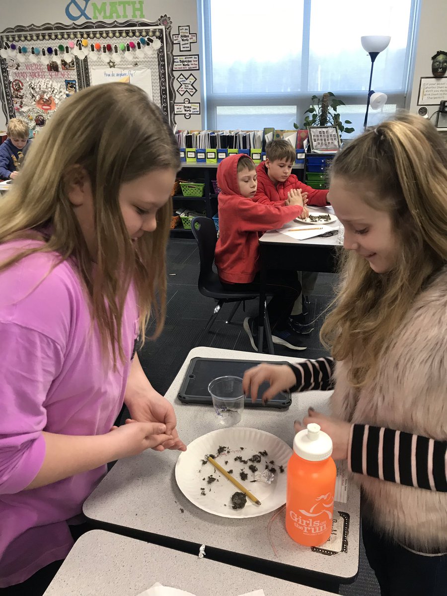 BISSMcBeath's tweet photo. Day 1 Dissecting Owl Pellets... https://t.co/zF4nJUBb9e