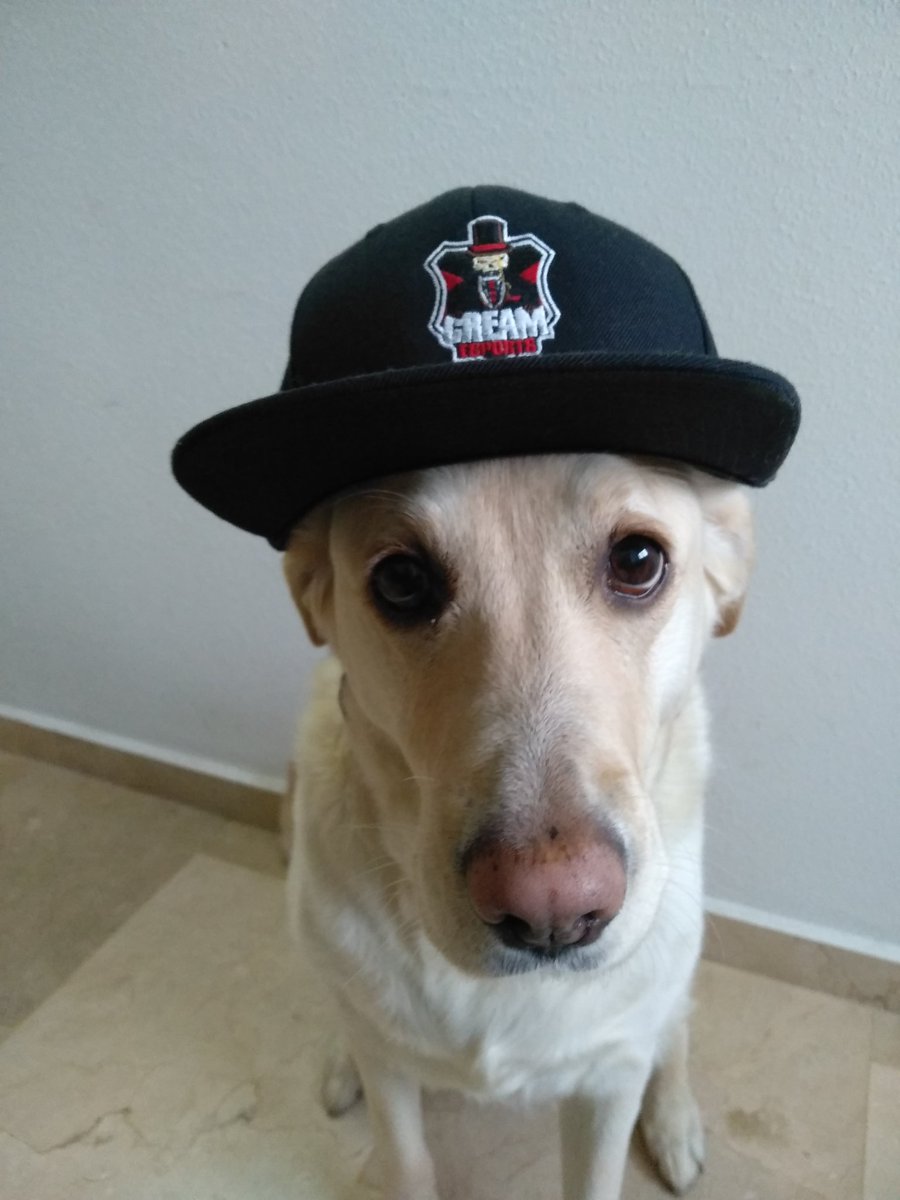 BarbaraBarcel20's tweet photo. Vamos @Cream_EsportsGG @wasab0  toda la #wasarmy está con vosotros!! https://t.co/UtNLhXOOYp