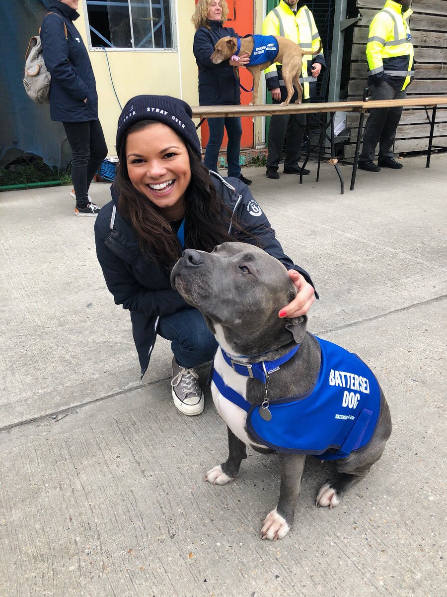 heyitsChrissyB's tweet photo. This is it! The #PwC team are doing the @Battersea_ #strayover tonight! Weβre sleeping out in the cold tonight to raise money for stray cats and dogs. Please sponsor us if you can π https://t.co/ySvU289C23 https://t.co/hbhX0XJT6J