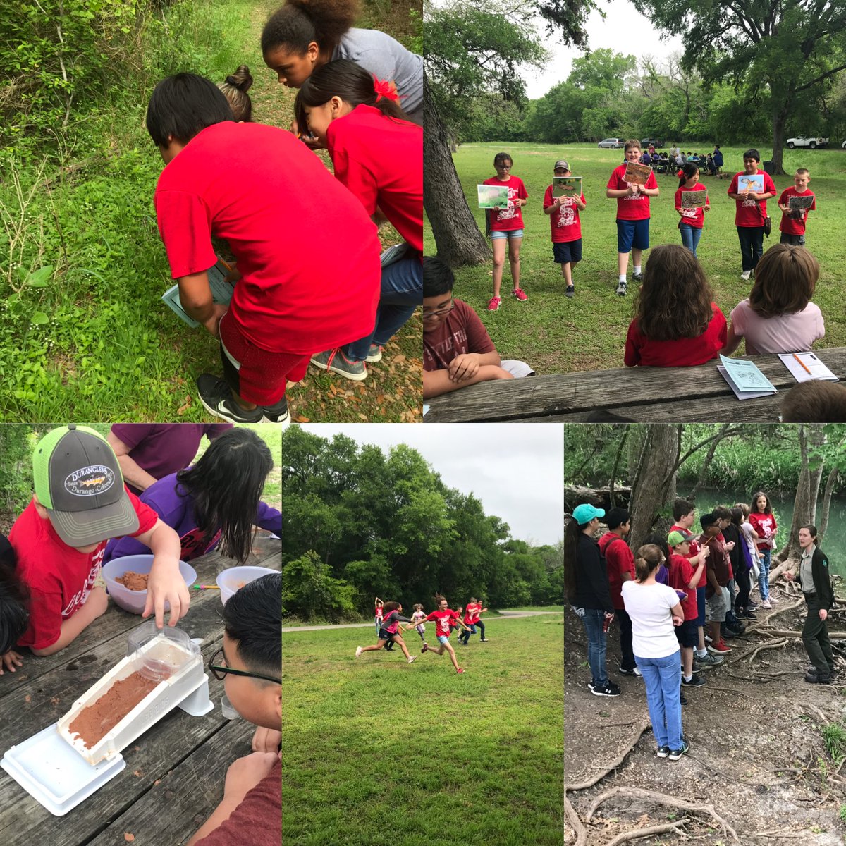 jreed_PEcoach's tweet photo. Hands-on science activities out at the Lockhart State Park today for our field trip. It was a great review of our last few units. #CFEProud #LockhartLeading #growingrootsandwings https://t.co/urDcOdLT4U
