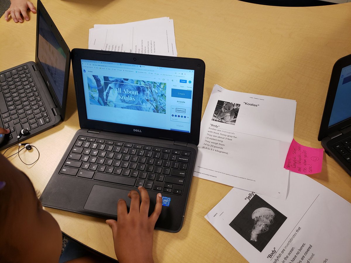 MrsMRYoung's tweet photo. @ROARingCougars @MEDatBCE Second Graders started to build their Google Sites on animals researched today!! So excited about this project! #technologyrocks #tlclife #puttingtheTinSTEAM https://t.co/kUiryIyS7x