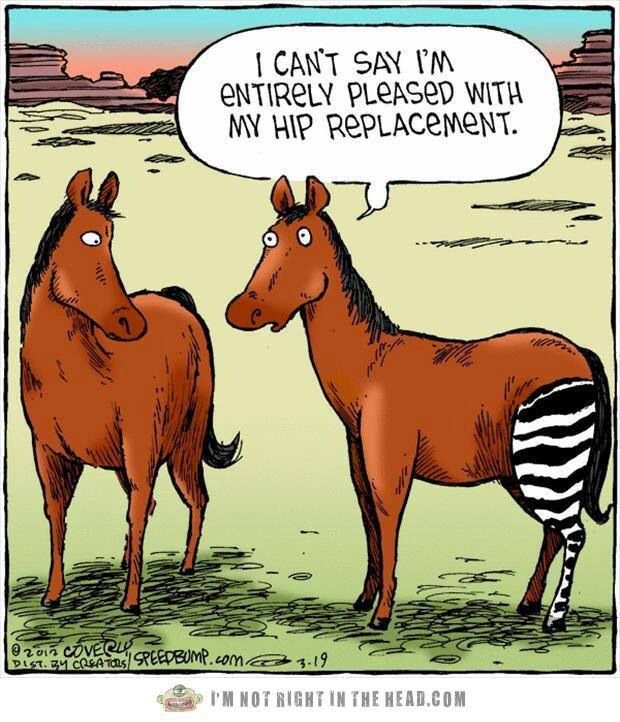 AchieveTestPrep's tweet photo. Patient complaints are sometimes on the mark! #FridayFunny #NursingFun #NursingStudent https://t.co/7ACHqOt0cZ