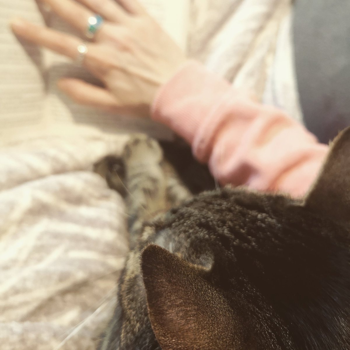 Raya Kosovsky tweet media
