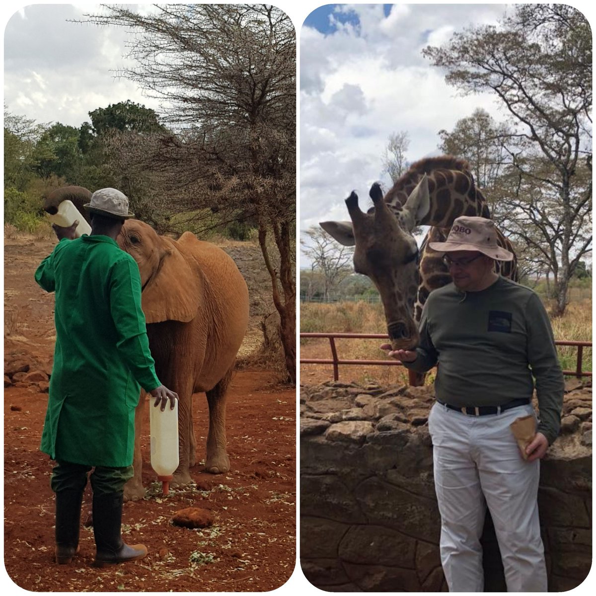 Great place for kids at Nairobi Elephant Orphanage and Girrafe Centre, Nairobi, Kenya.