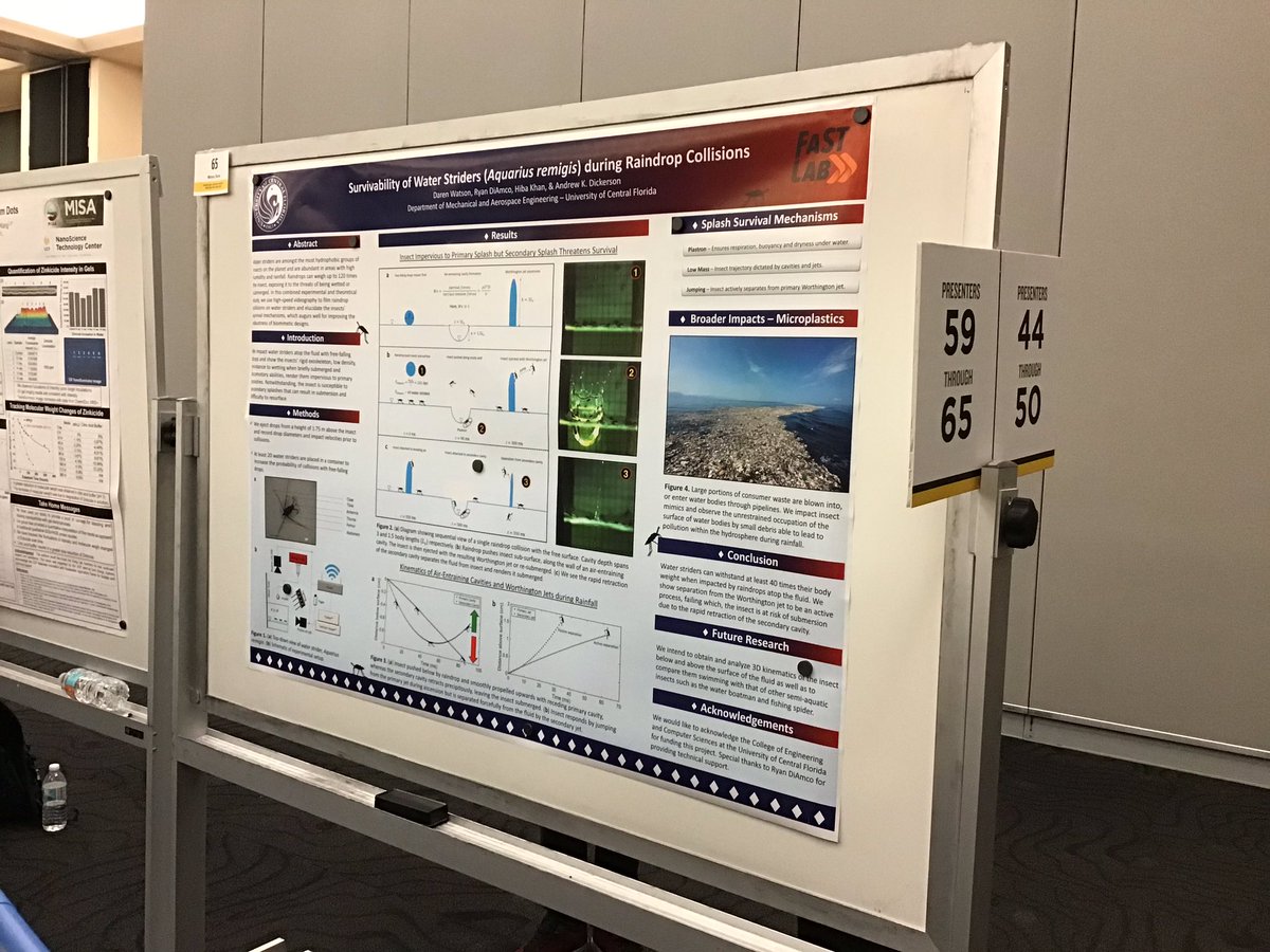 UCFMAE's tweet photo. Check out these awesome posters from our Graduate Research Forum participants. Thanks for representing #ucfmae so well! #UCFResearchWeek @UCFCECS @UCFGradStudies https://t.co/DbYtvVsUxR