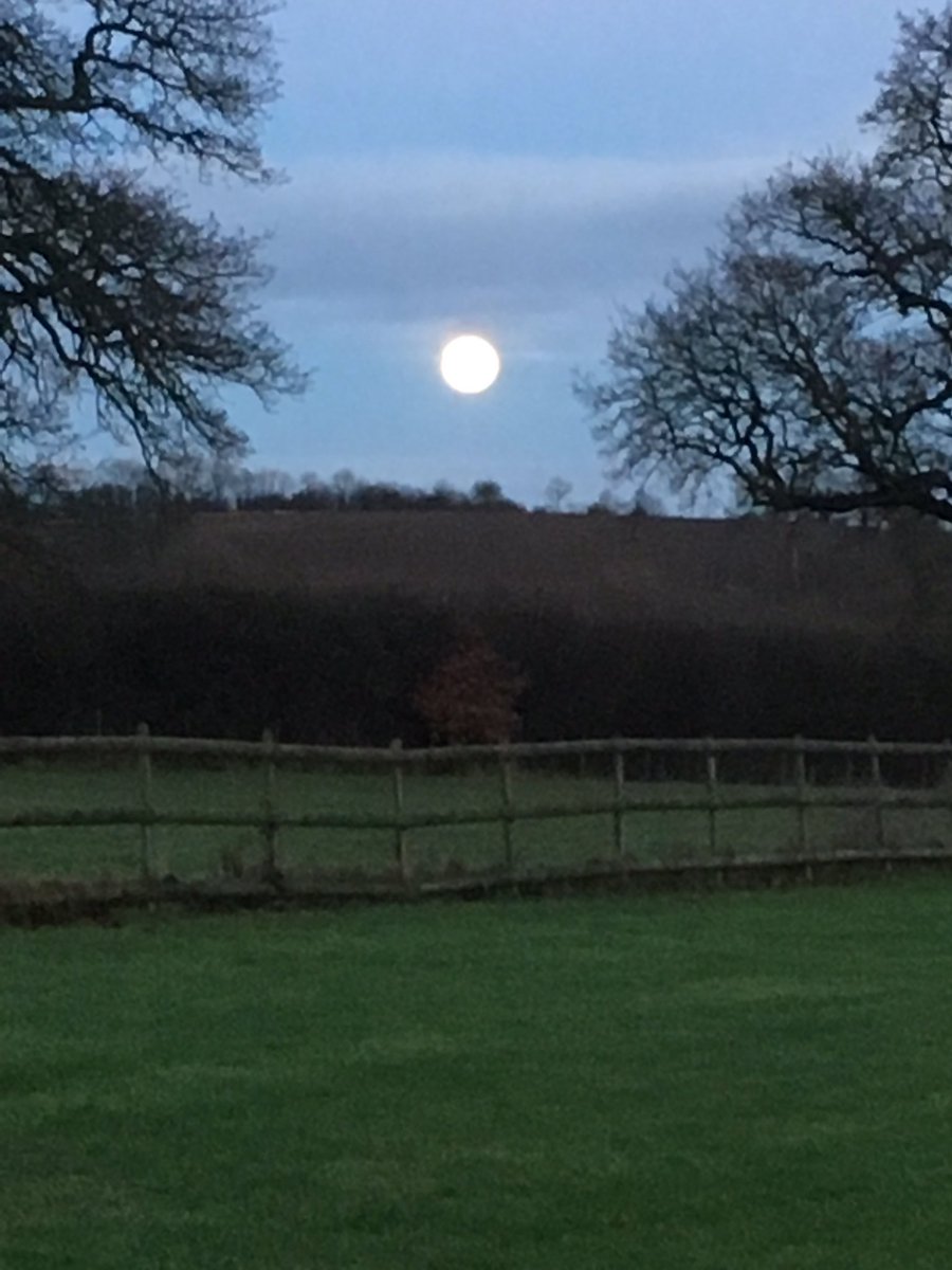 PsychicDiamond's tweet image. I’m beginning to think it might be worth casting a spell...and I’m not even a witch 😂#FridayFeeling #wee