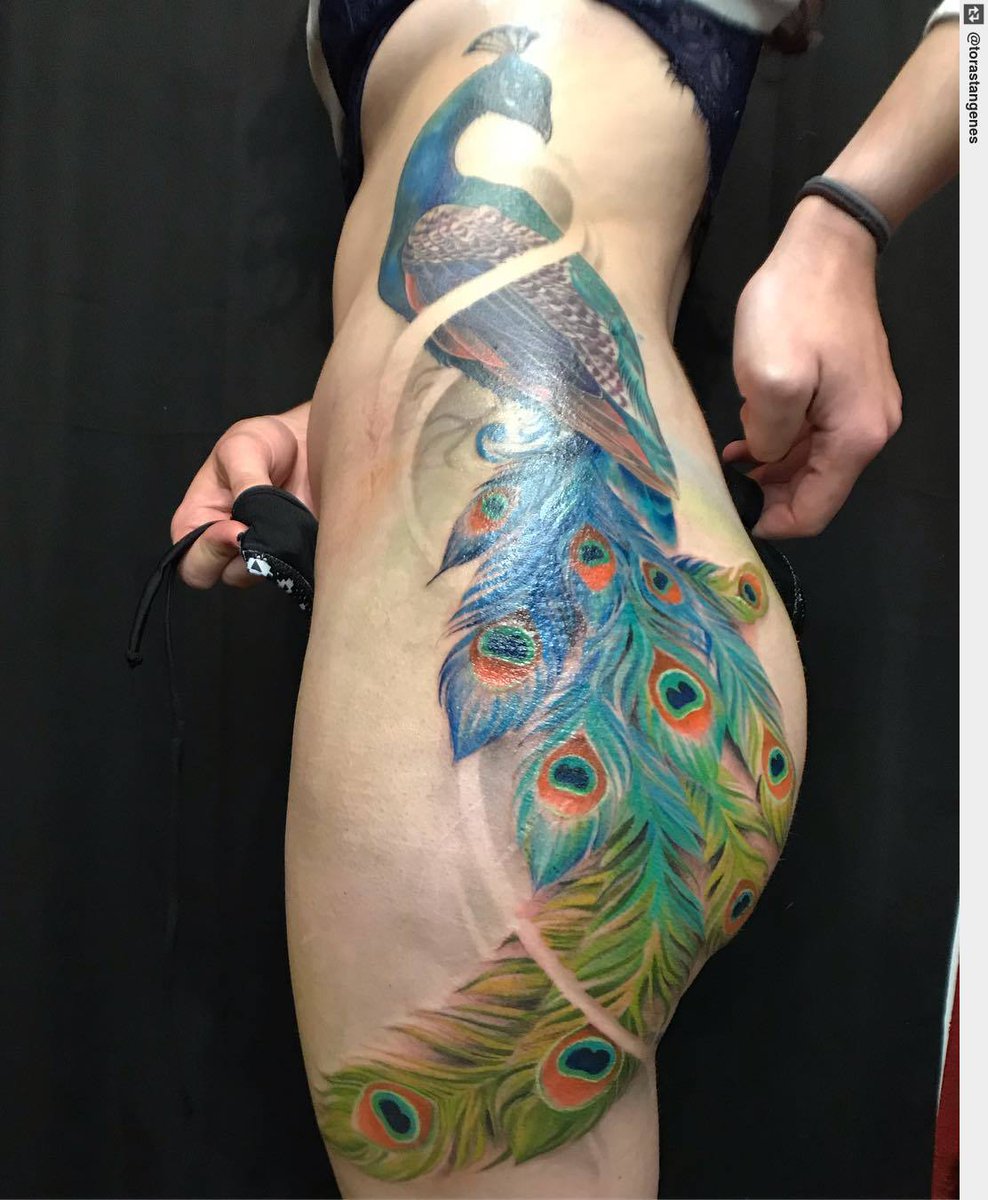 Tattoo Ness on Twitter: "One last session left on this peacock! (top healed) #peacocktattoo #birdtattoo #colortattoos #sidetattoo #tattoo #inked #ink https://t.co/X0xJ8lbpa9" / X