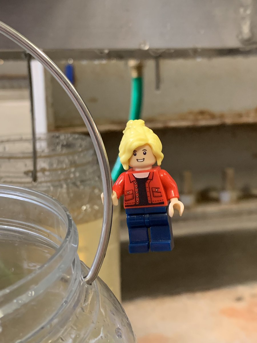 Lego Forage Specialist (@legoforages) on Twitter photo Enjoyed hanging out with the <a href="/USDA_NRCS_GA/">USDA-NRCS Georgia</a> folks today! Here are the before and after pictures of the rainfall simulation we ran this afternoon at the <a href="/GA_Cattlemens/">GA Cattlemen's Assn.</a> Expo. Enjoyed hanging out with the <a href="/USDA_NRCS_GA/">USDA-NRCS Georgia</a> folks today! Here are the before and after pictures of the rainfall simulation we ran this afternoon at the <a href="/GA_Cattlemens/">GA Cattlemen's Assn.</a> Expo.
