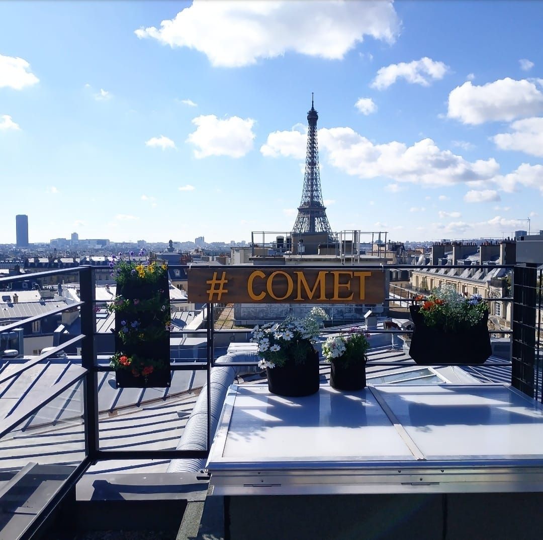 BeeBarConcept tweet media