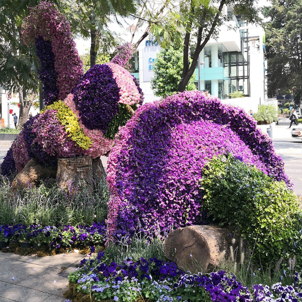 DONDEIRweb's tweet photo. ¡Flores en Polanco! El @FYJAMX ya empezó, lánzate al poniente de #CDMX para celebrar la primavera 👉 https://t.co/zV1u3hLIXw 🌷🥀🌺🌼🏵🌸 https://t.co/6BbfPXspiV
