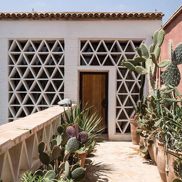 emma_pake's tweet photo. Dreaming of a weekend escape... Geometric architecture ✔️ Micky Mouse cacti 🌵 ✔️ Feel good sunshine ☀️ ✔️ #holidaydreaming #escapetothesun https://t.co/NjZbQ2xQ3B https://t.co/6M33J2VygO