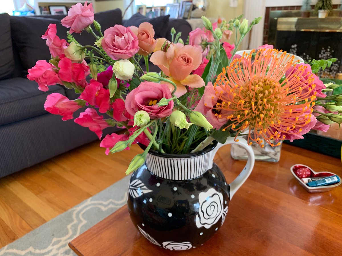 KimBlockMaine's tweet photo. Think spring. #broadturnfarm https://t.co/kHR6wexmQ7