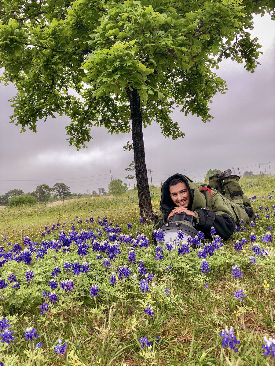 HCSOTexas tweet media