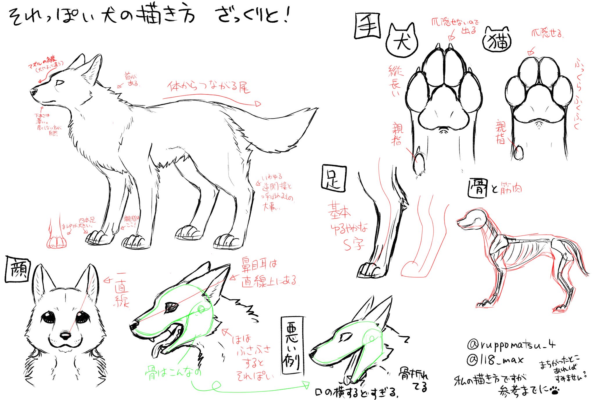 るっぽ No Twitter 犬の描き方 T Co 1ynnsv77 Twitter
