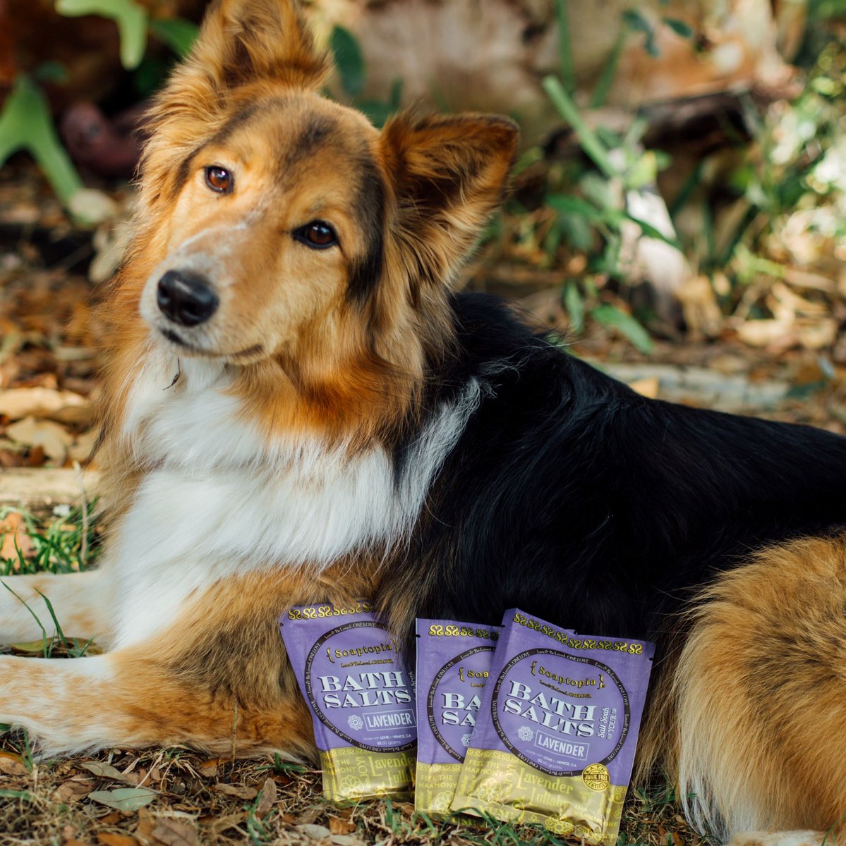 Soaptopia's tweet image. Whoever said that diamonds are a girl’s best friend… Never owned a dog or  tried our bath salts. #dog #bathsalts #love #natural #pets #soap @ryley15