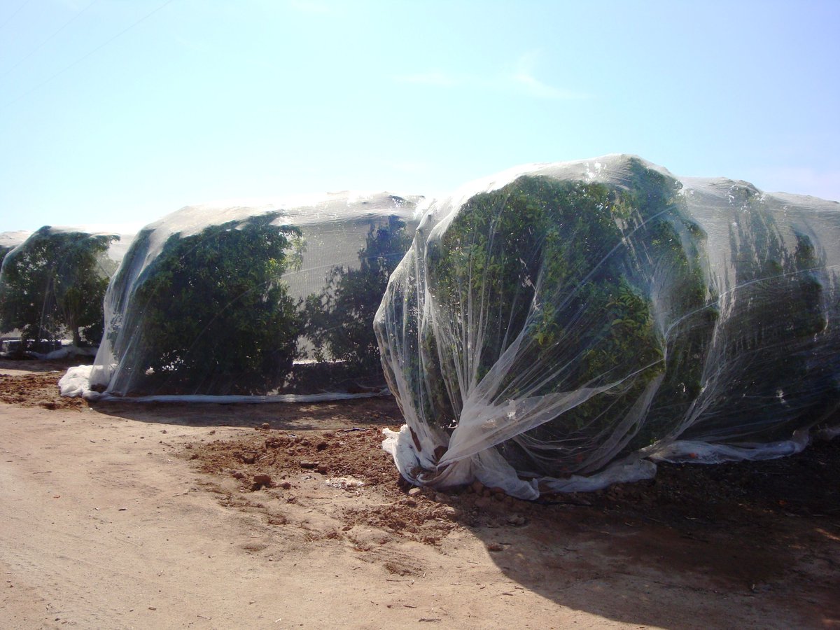 McKellarFarms tweet picture