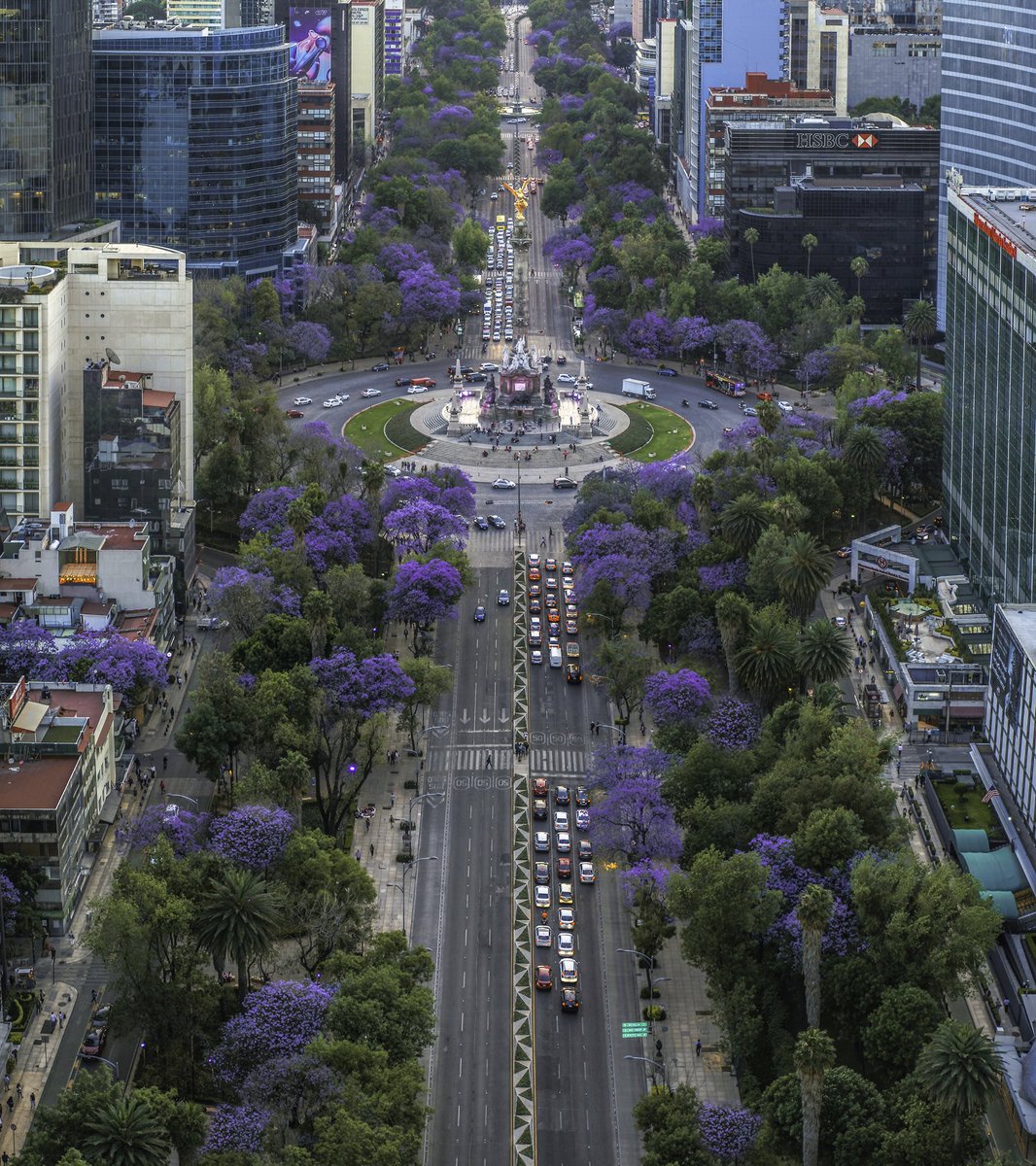 bitlemoficial's tweet photo. Buen viernes a todos. Camina por Reforma para admirar el bello paisaje y si te sientes inspirado, no dudes en visitarnos. 😃 https://t.co/NGpmX4mxXn