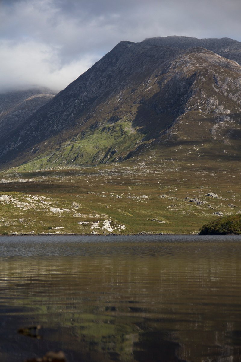 Dan O Hara Homestead tweet media