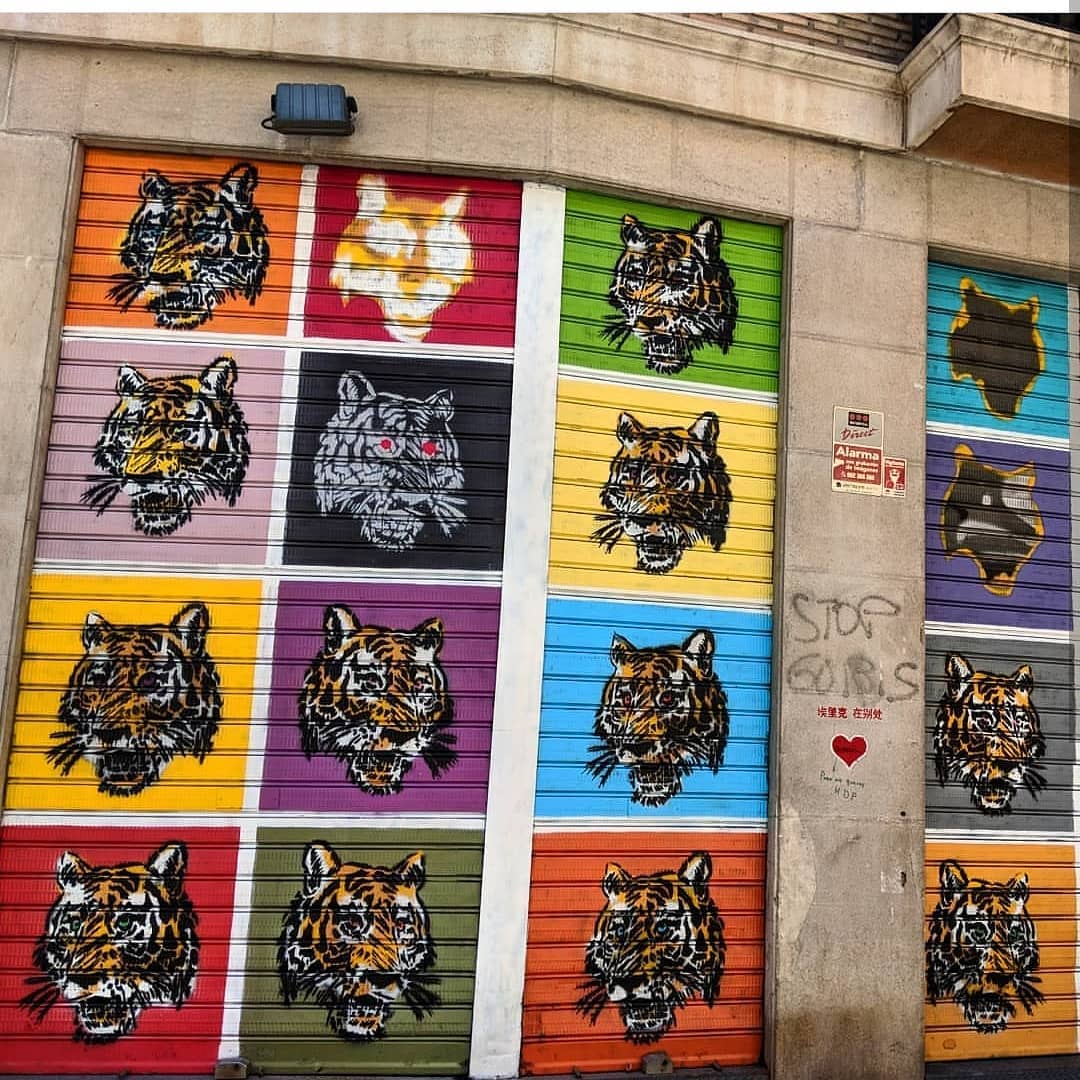GVSUStudyAbroad's tweet photo. Street art in Valencia, Spain 🎨🖌️🇪🇸 #lakersabroad https://t.co/5gDD6wGEeA