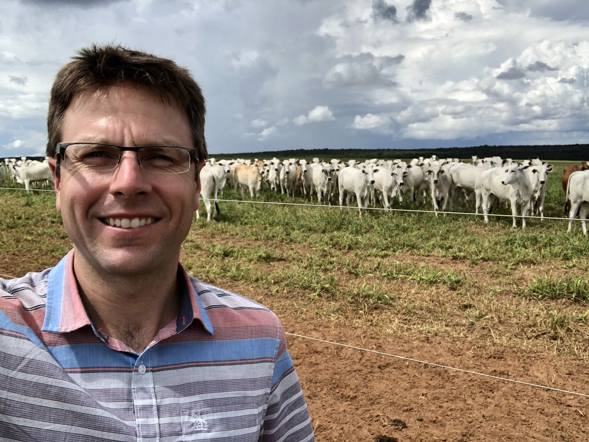 Forage grass in rotation sets up the following cash crop of soybeans for a 30% boost in yield #matogrosso #nuffieldag <a href="/MBForages/">MFGA</a>