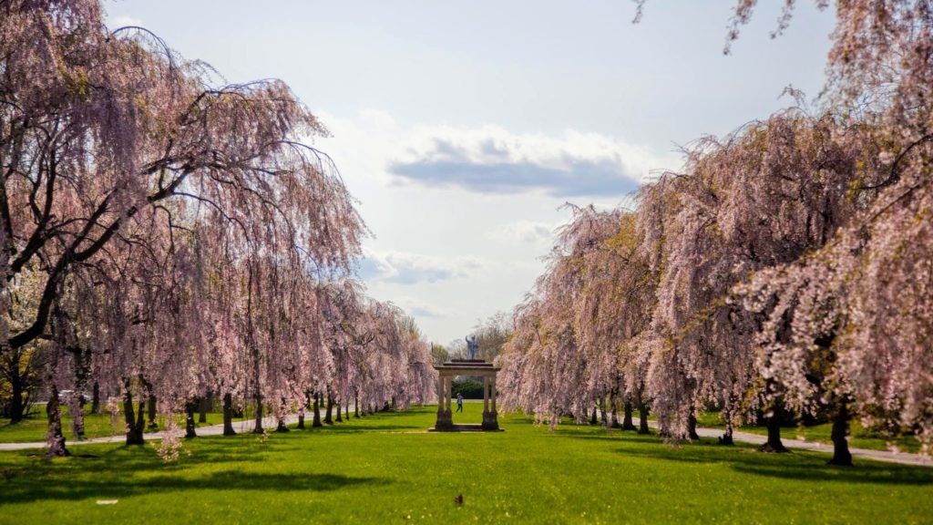 Today is the beginning of the month of Nisan and kicks off the month in Jewish calendar when you can say a special blessing for blossoming trees. What a great practice to participate in this shabbat

buff.ly/2HZoKXE
