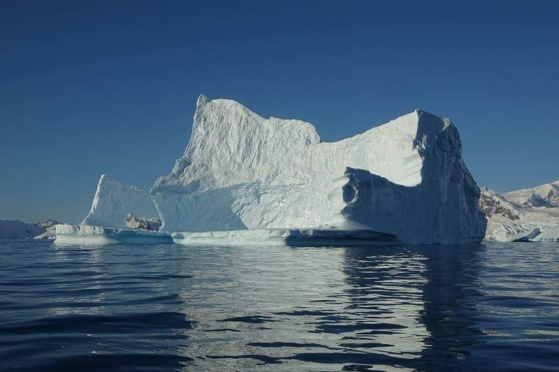 explorernatural's tweet photo. This impressive #iceberg was near #Portalpoint during our last #Antarcticpeninsula cruise on the #Gexpedition with #Gadventures https://t.co/KS7YH2LMld