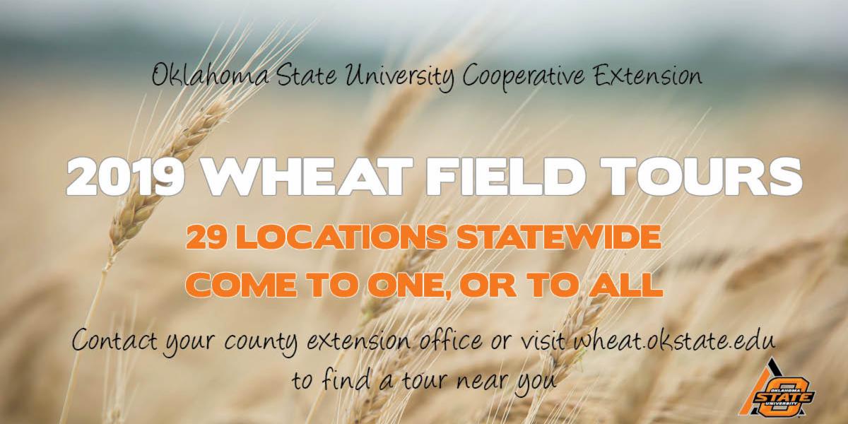 OSUplantsoilsci's tweet photo. To find a Wheat Tour near you call your local County Extension Office, or visit: https://t.co/b4bL0LGVgg #OKCoopExt https://t.co/tarJKlWAgW