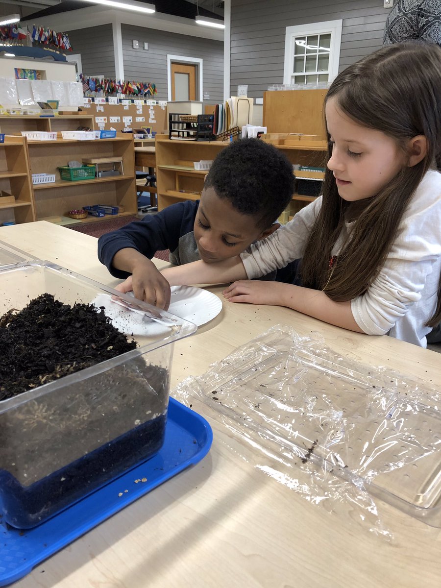 Ms Kosa’s class loves exploring and learning about their new earthworms and isopods! #OneTeamOneMissionOneRockHil