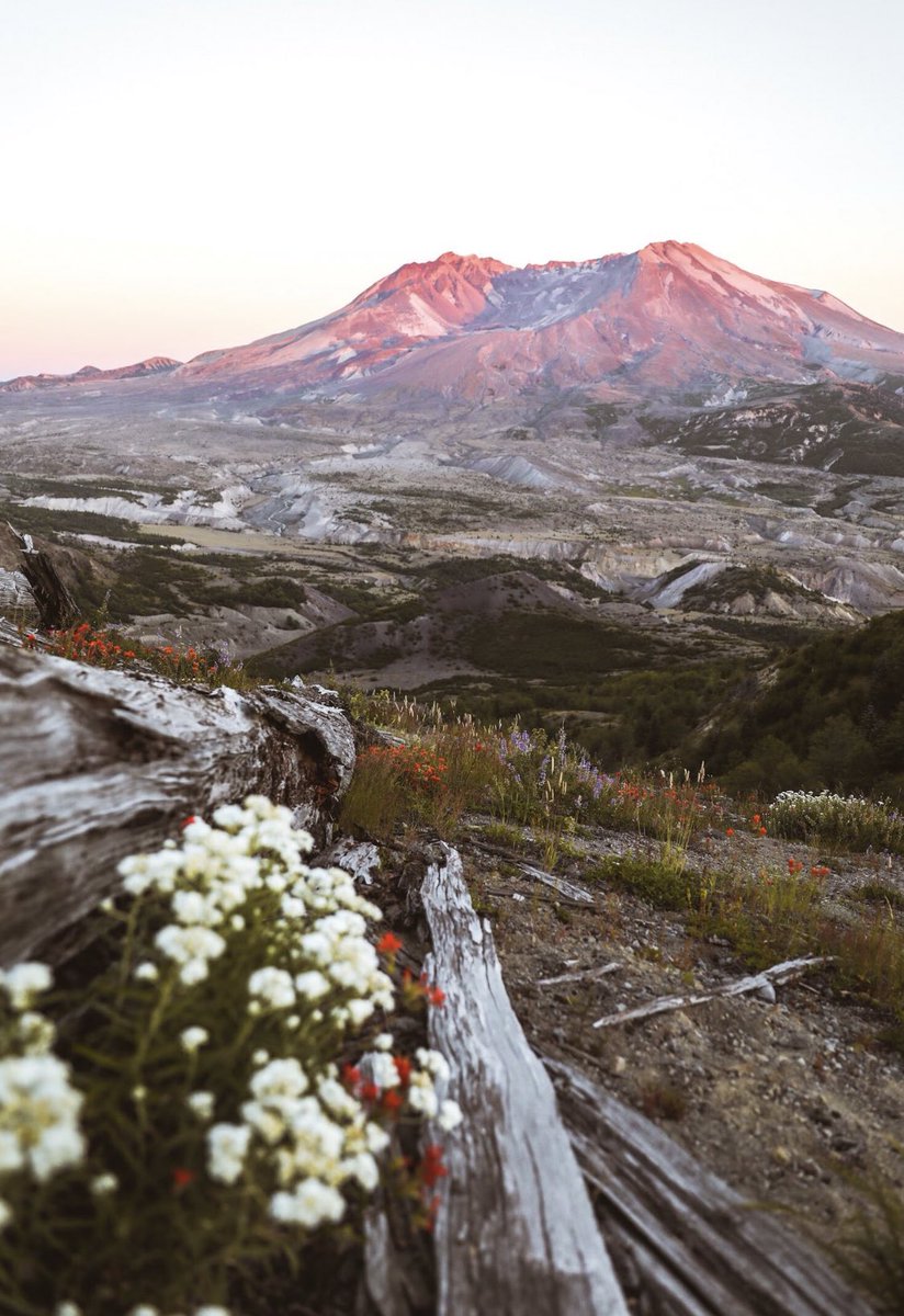 coffee_n_mtns's tweet photo. St. Helens, Oregon https://t.co/MKlA39FJhv