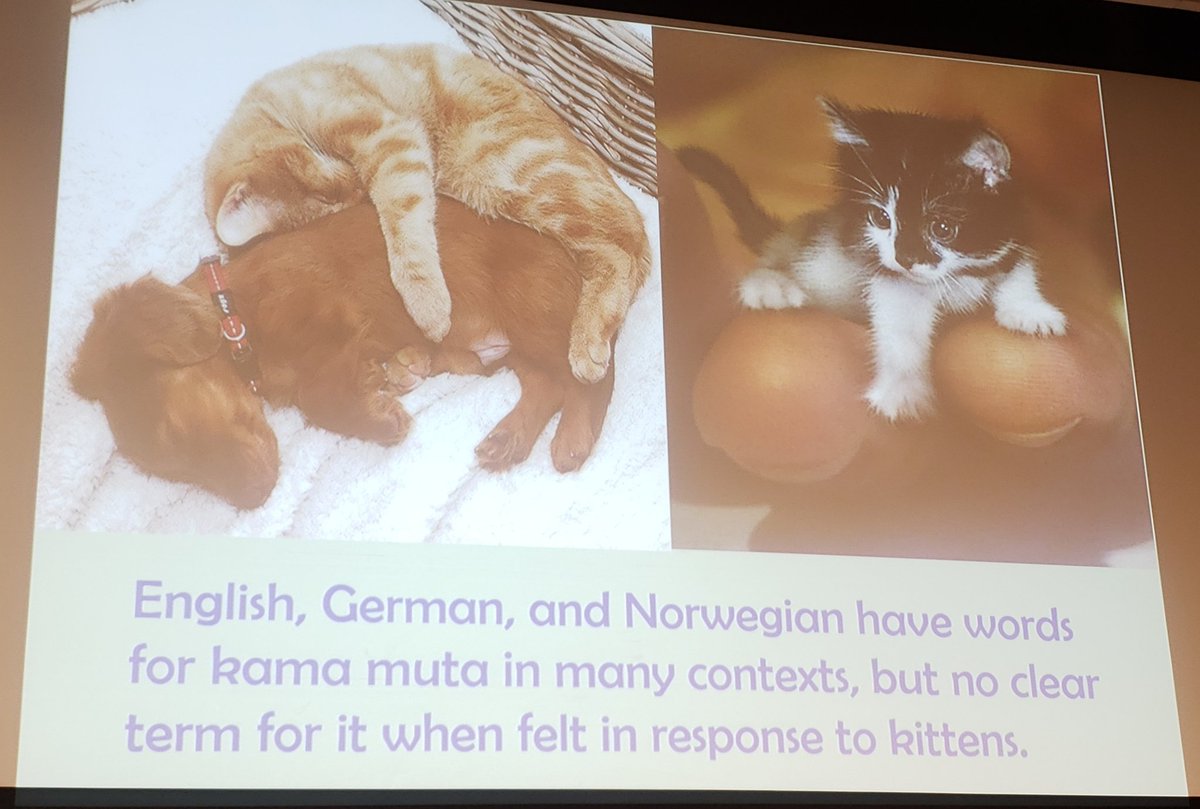 NewSchoolCPS's tweet image. As we near the end of the #Unknowability Conference, we would like to extend a great THANK YOU to our  astounding speakers: neuropsychologist Nicholas Humphrey,  @UCLA's Alan Fiske, @essexsociology
Dr. Linsey McGoey and our great moderator @TheNewSchool's William Hirst!