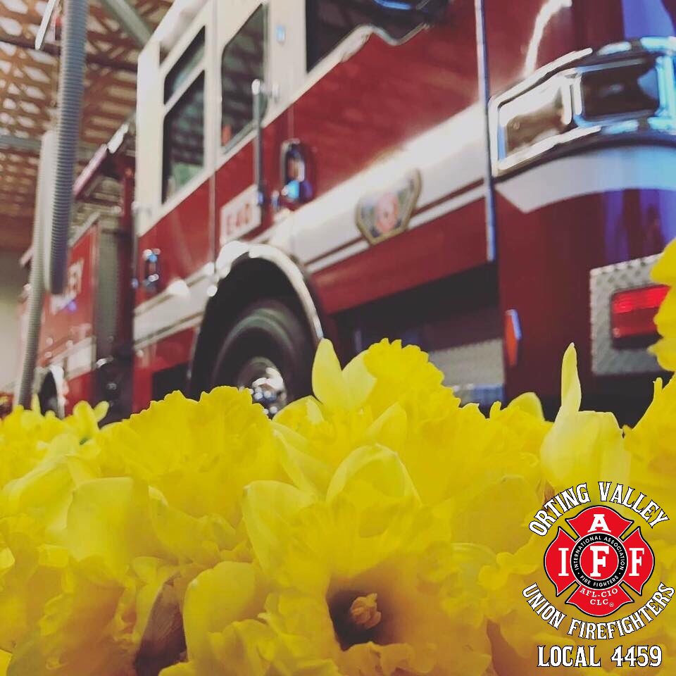 IAFF4459's tweet photo. It’s almost here. Tomorrow is the Daffodil Parade 🌼. Make sure you swing by the fire station for all the festivities and the Junior Firefighter Challenge. #daffodilparade #orting #IAFF 🌼 👨‍🚒 🚒 https://t.co/sQQ6CdAKST