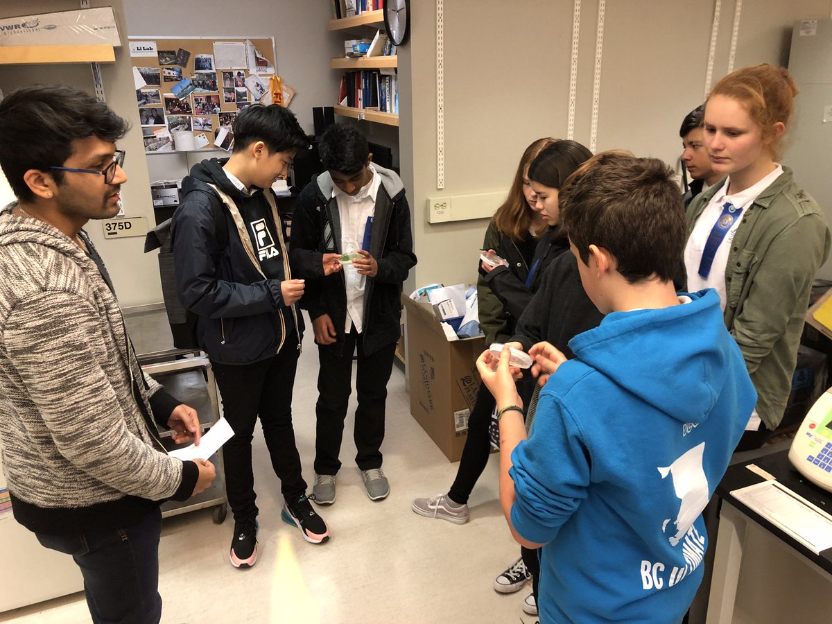 ubcmsl's tweet photo. Students from the @GVRSF toured the #LiLabUBC @FinlayLab #KronstadLab #WithersLab today! High school students learned about plant immunity, gut microbiome, fungi, & enzymes. Thanks to Karen, Solveig, @_ninarad @Linder_surprise, and Jacob for leading these tours! https://t.co/BIVqHiSEgC