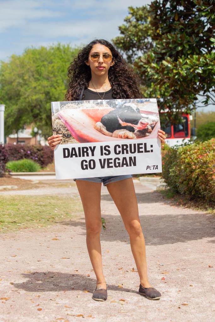 soul_eubanks's tweet photo. I had a great weekend doing activism in Pensacola, Florida. I attended the animal rights march, the vegfest, a graffiti event, a dxe disruption &amp; a cube of truth. I met a ton of wonderful beings and spent too much money at the vegfest 😋 
📸 by me &amp; more pics on my instagram https://t.co/G7NGFVOZrS
