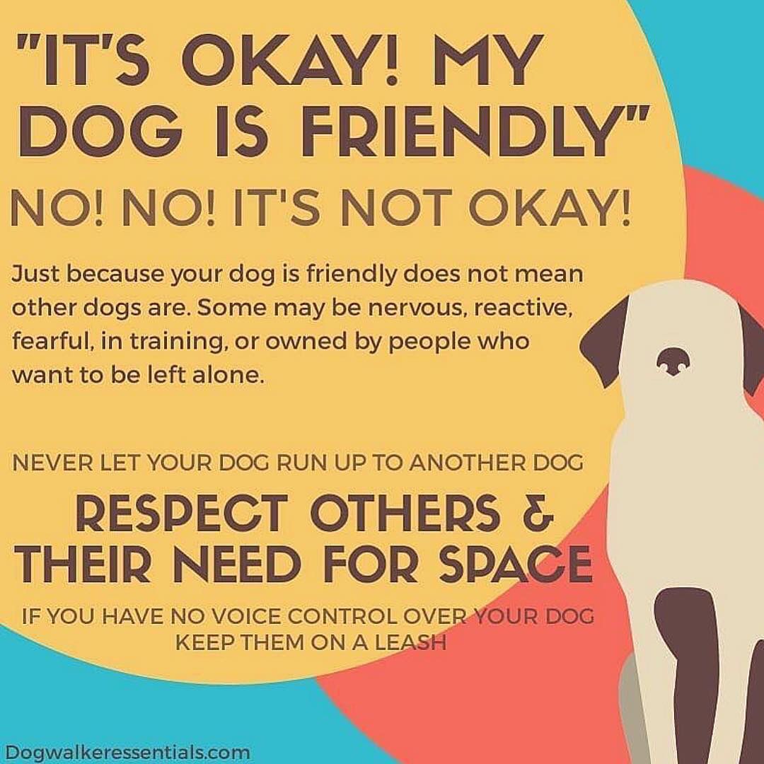 4LifeRescue tweet media