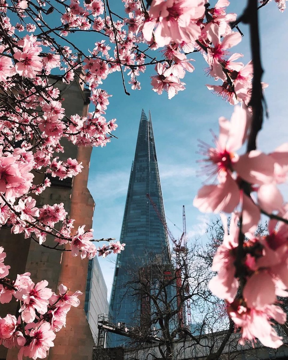 BritchamDR's tweet photo. Spring has arrived to the UK and flowers are beginning to bloom on the streets of London. Isn't it beautiful? #BritchamDR
.
๐ท: (@jindrabucan) | #FirstDaysOfSpring #London https://t.co/58m5Pr2zTw
