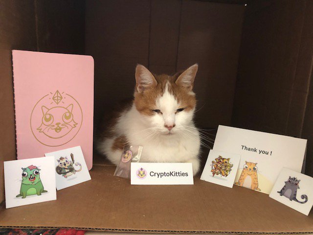 CryptoKitties's tweet photo. Licky, the kitty -- hanging out with some CryptoKitties! @stacycat67 https://t.co/VVY3hkrVgD