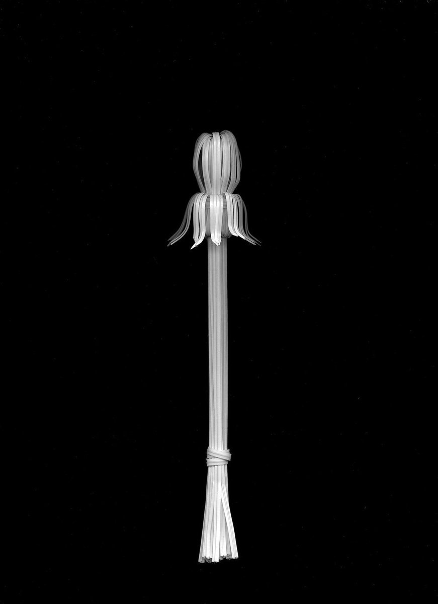 KLOMPCHING's tweet photo. 'Blossfeldt's Apprentice' by @ElaineDuigenan—available exclusively from the #KlompchingGallery in the US | 16 1/2'' x 11 7/10'', Ed: 3+2AP | 11 7/10 x 8 1/4", Ed: 3+2AP | Archival Pigment Prints | Call/Email for pricing. #aipad2019 #klompchingart #blossfeldt https://t.co/1cueRzZfAj