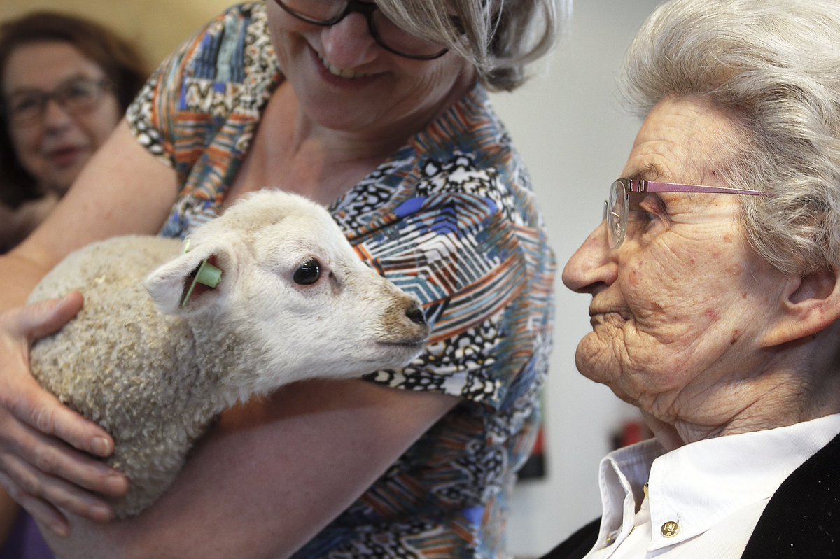 Vrolijke beestenboel bij lentefeest Theodotion Laren. #beestenboel #lentefeest #laren #theodotion