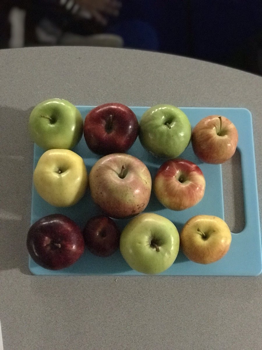 CallieFouts's tweet photo. 2nd science unit complete! We had fun using our five senses to observe apples! We even learned how to waft! #bewillbern #fearlessfirstgraders https://t.co/K1R702xDgV