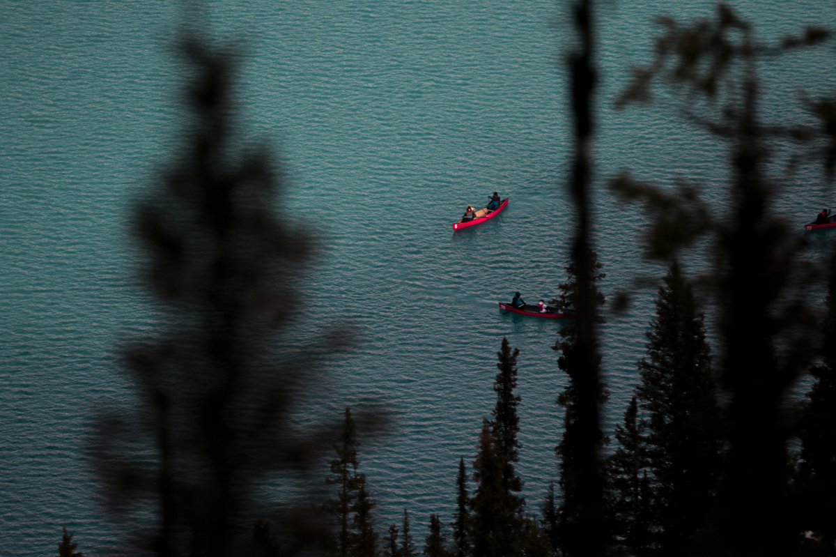 FairmontCLL's tweet photo. Pssst. Something new and exciting is brewing... We’re proud to announce Fairview Bar and Restaurant will open this spring! A bar with a grand view or a view with a grand bar? You decide. 🍸🍷🥂 https://t.co/uOeO0nQpdk #lakelouise #FoodieFriday https://t.co/BrinV4s538