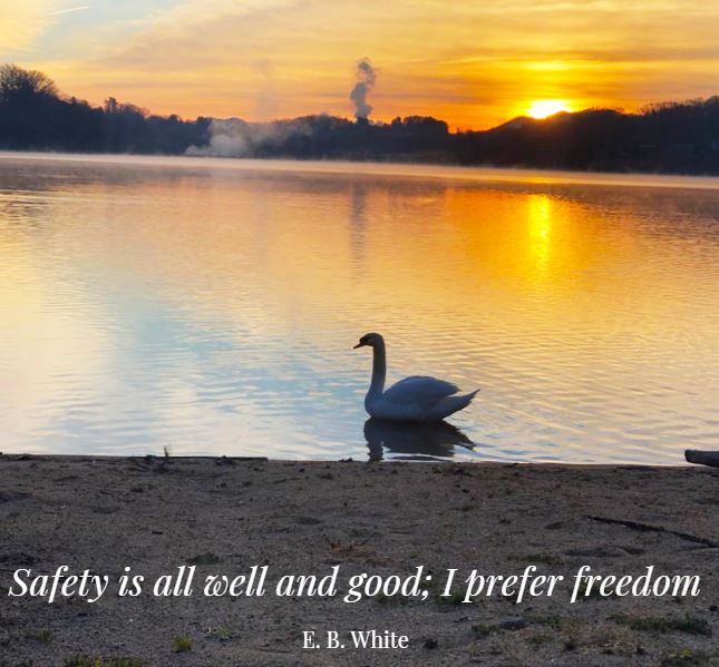 Lake_Junaluska's tweet photo. "Safety is all well and good; I prefer freedom" - E.B. White
#lakejunaluska #quote #qotd #inspire #inspiration #inspire #freedom #freedomquote #goodvibes #swan #trumpetoftheswan #ebwhite https://t.co/OeCXPZeL8g